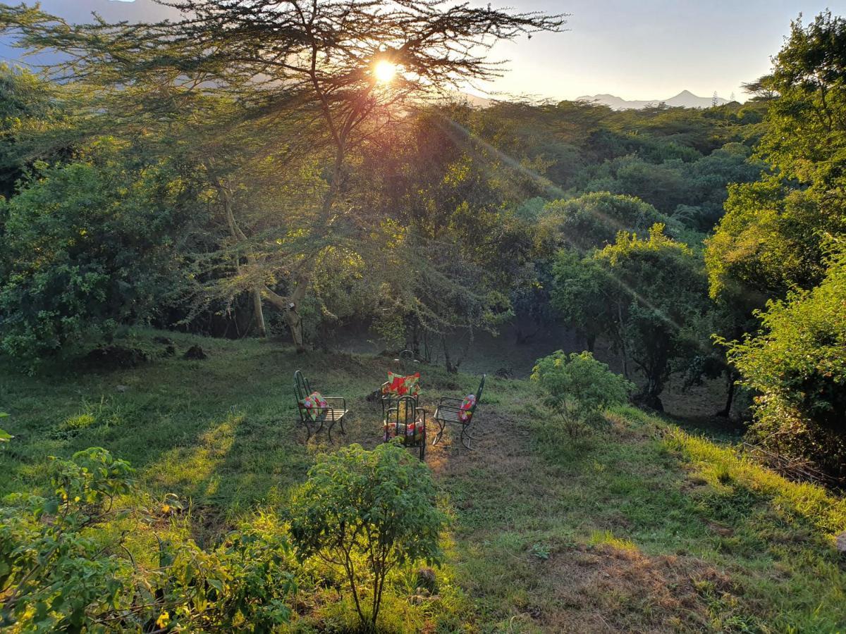 Hillside Retreat - Africa Amini Life Villa Usa River Buitenkant foto